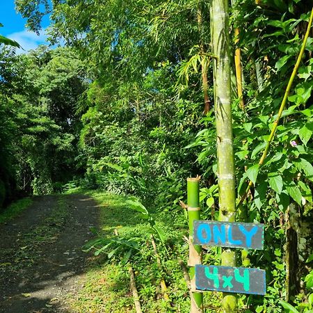 Vulkan Arenal Amazing View Lodge 4 Wd El Castillo 外观 照片